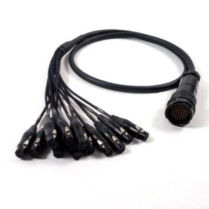 LK37 (M) > 12 x XLR3 (F)