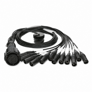 LK37 (F) > 12 x XLR3 (M)