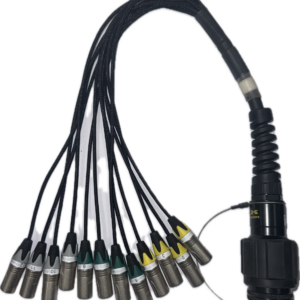 LK37 (F) > 12x XLR5 (M) cable (Light)
