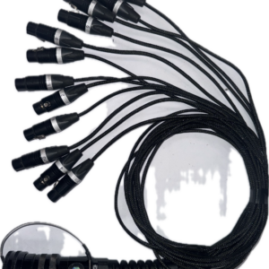 LK37 (M) > 12 x XLR3 (F)