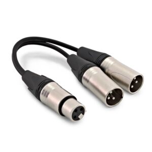 XLR female > 2x XLR male