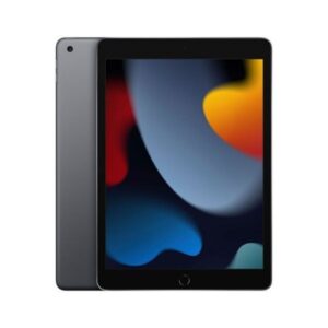 Apple iPad 9th Gen 10.2-inch Wi-Fi 256GB MK2N3RK/A case